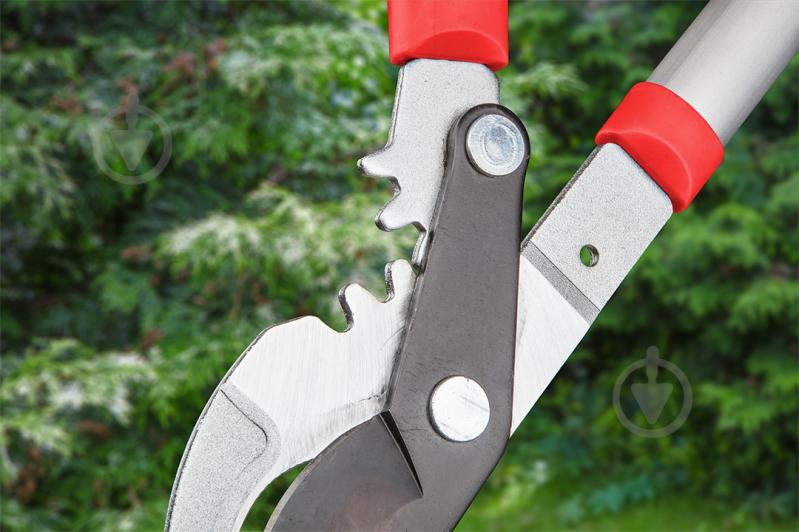 Сучкорез Verto (15G256) - фото 4