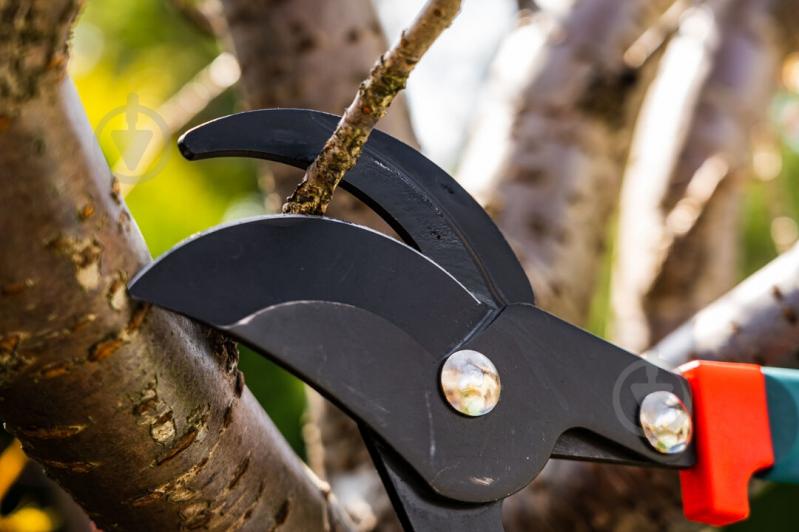 Гілкоріз Verto (15G253) - фото 8