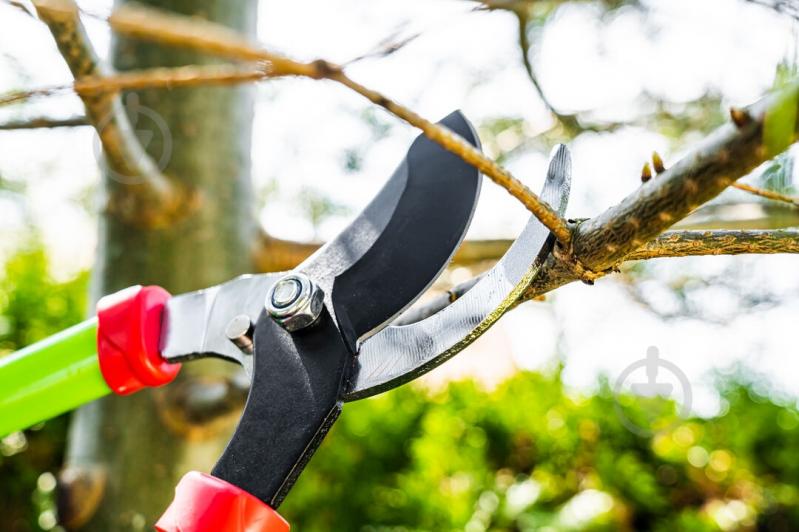 Сучкорез Verto (15G252) - фото 4