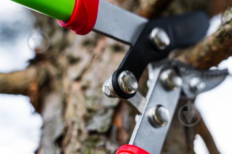 Сучкорез Verto (15G251) - фото 3