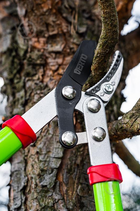 Сучкорез Verto (15G251) - фото 7