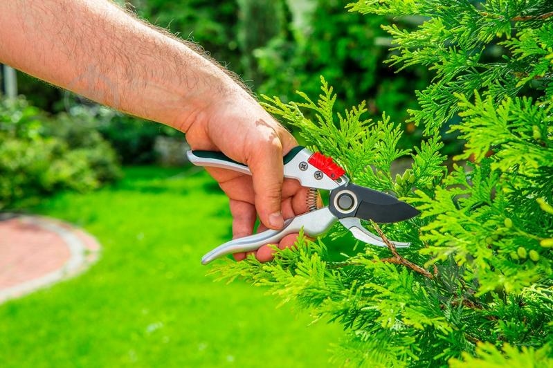 Секатор плоскостной Verto (15G206) - фото 2