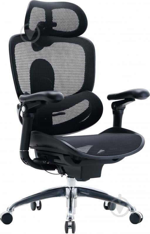 Кресло офисное Sihoo DORO C300 PRO V2 Black черный - фото 3 Кресло офисное Sihoo DORO C300 PRO V2 Black черный - фото 3