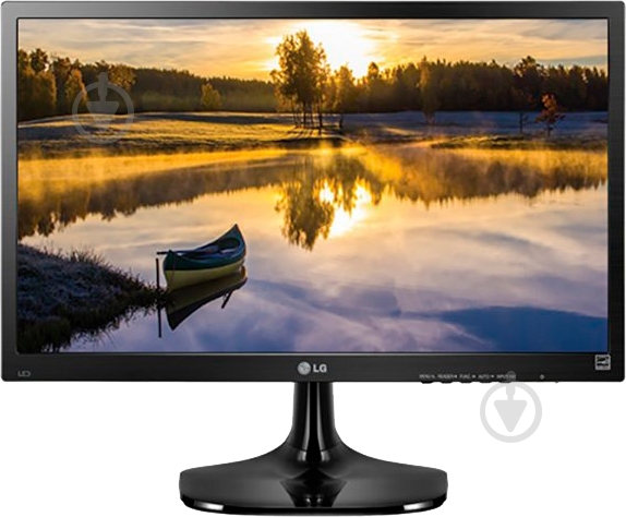 Монітор LG 19,5" (20M47D-B) - фото 1