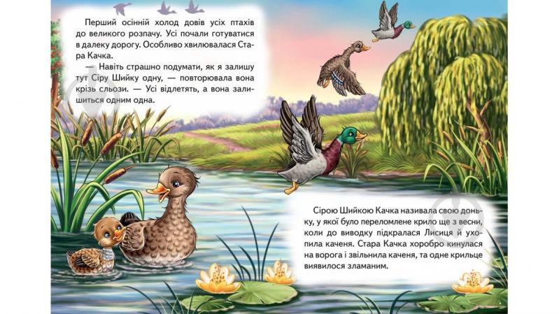 Книга «Сіра шийка» 978-617-716-679-4 - фото 2