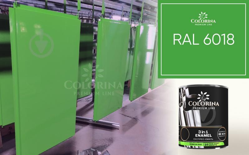 Грунт-эмаль COLORINA Enamel 3 in 1 черный мат 2,5 л - фото 12