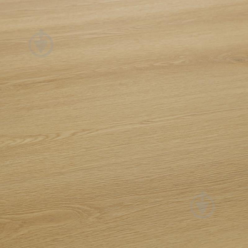 Панель SPC AFIRMAX SILVERTON 1200x600x4 мм (WAFST208) - фото 2