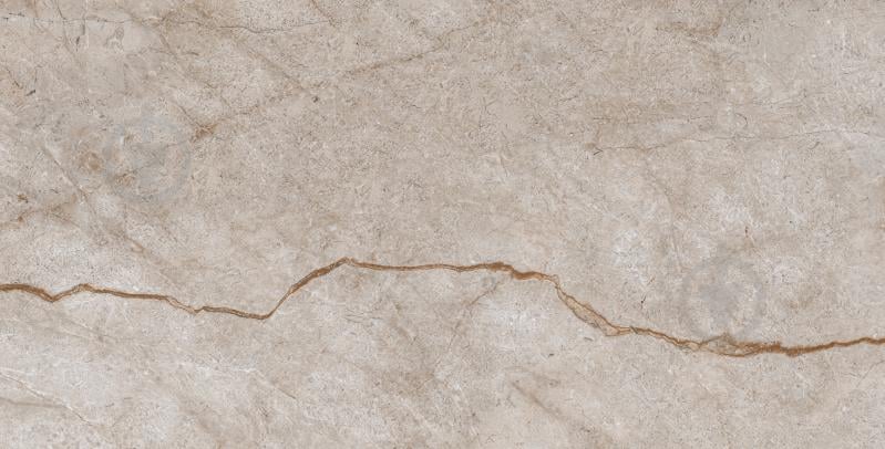 Плитка Armina Dark beige W M NR Glossy 30,8x60,8x8,5 см (2 сорт) - фото 2 Плитка Armina Dark beige W M NR Glossy 30,8x60,8x8,5 см (2 сорт) - фото 2