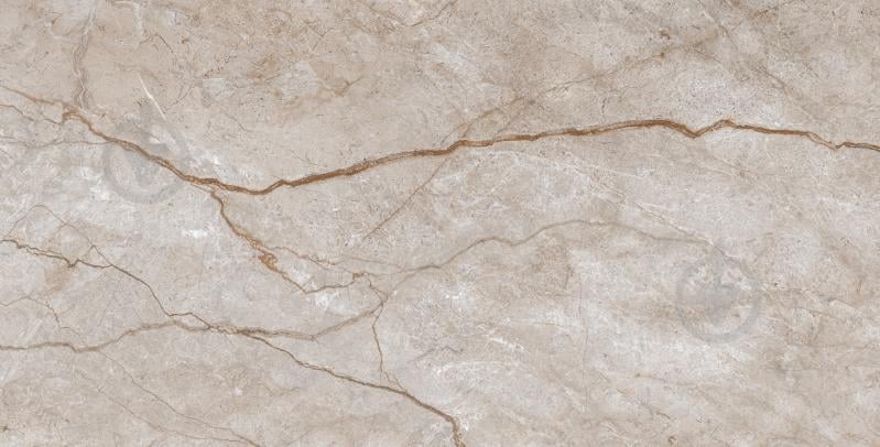 Плитка Armina Dark beige W M NR Glossy 30,8x60,8x8,5 см (2 сорт) - фото 1 Плитка Armina Dark beige W M NR Glossy 30,8x60,8x8,5 см (2 сорт) - фото 1