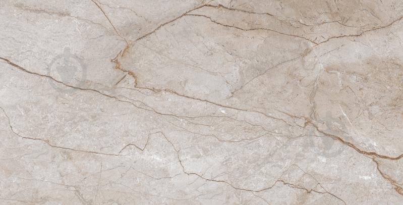 Плитка Armina Dark beige W M NR Glossy 30,8x60,8x8,5 см (2 сорт) - фото 6 Плитка Armina Dark beige W M NR Glossy 30,8x60,8x8,5 см (2 сорт) - фото 6