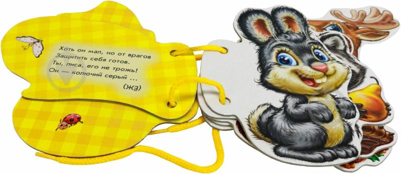 Книга Ирина Солнышко «Отгадай-ка. В лесу» 978-966-746-390-8 - фото 2 Книга Ирина Солнышко «Отгадай-ка. В лесу» 978-966-746-390-8 - фото 2