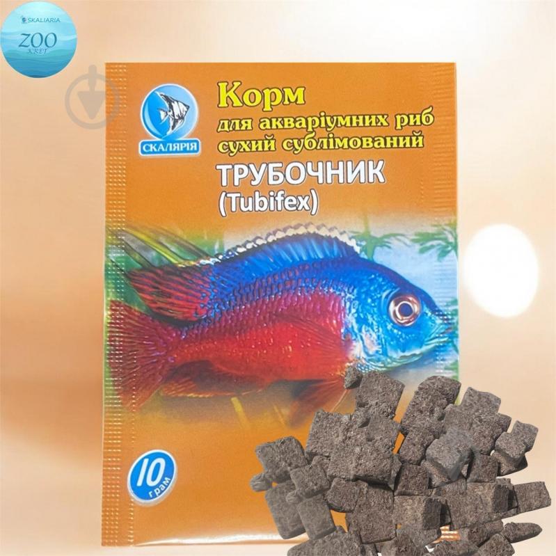 Корм Скалярія Трубочник - фото 1