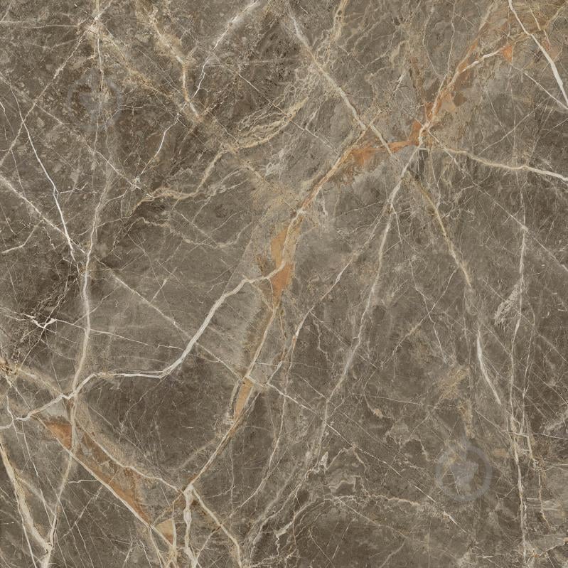 Плитка Golden Tile Stone Roots dark beige SOН500 59,5x59,5 см - фото 1