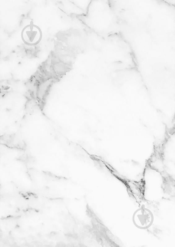УЦЕНКА! Декоративная панель Panastone ПВХ Bianco Carrara 1220х2800х2,8 мм (PS-101) (УЦ №2487) - фото 1 УЦЕНКА! Декоративная панель Panastone ПВХ Bianco Carrara 1220х2800х2,8 мм (PS-101) (УЦ №2487) - фото 1