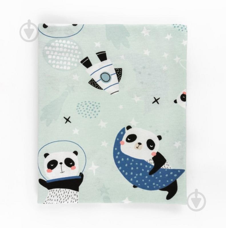 Пеленка Dexter`s Panda 90х110 см ментоловый d102пд - фото 1