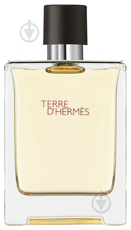 Туалетная вода Hermes Terre D'Hermes 100 мл - фото 1