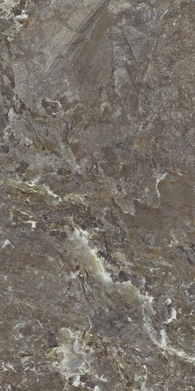 Плитка Allore Group Snake stone Bronze F PC R Sugar 60x120 см - фото 4