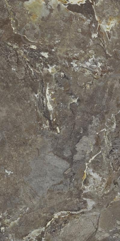 Плитка Allore Group Snake stone Bronze F PC R Sugar 60x120 см - фото 5