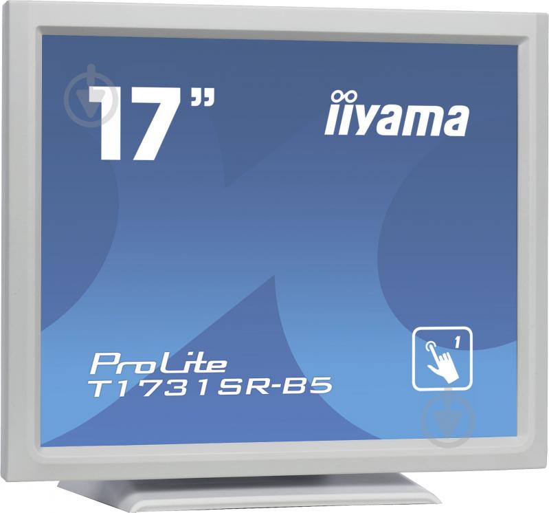 Монитор Iiyama ProLite 17" (T1731SR-W5) - фото 2