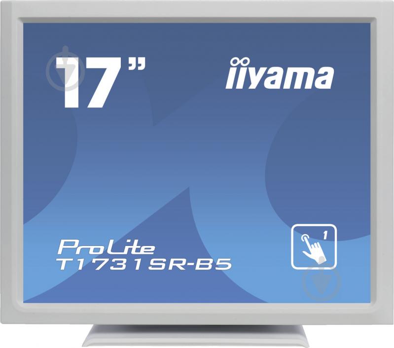 Монитор Iiyama ProLite 17" (T1731SR-W5) - фото 1