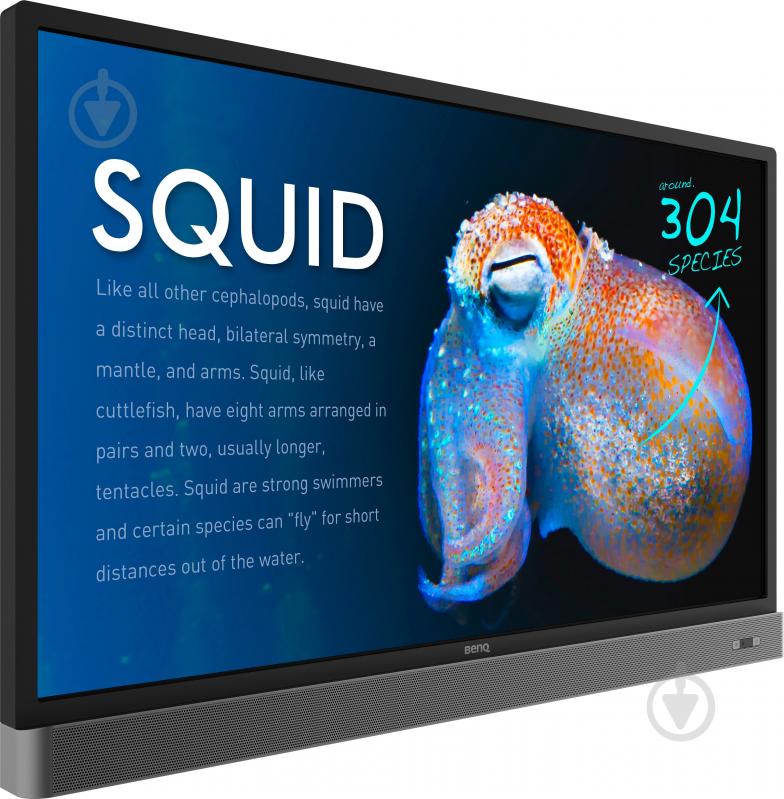 Монитор BenQ RP553K 55" (9H.F3TTK.RE1) - фото 2