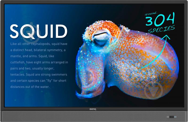 Монитор BenQ RP553K 55" (9H.F3TTK.RE1) - фото 1