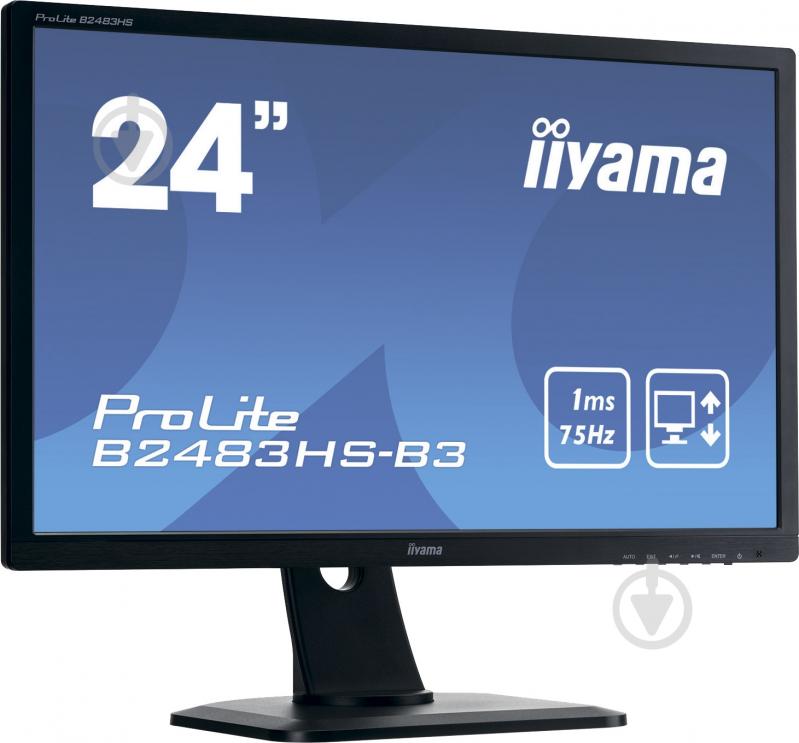Монитор Iiyama ProLite 24" (B2483HS-B3) - фото 6