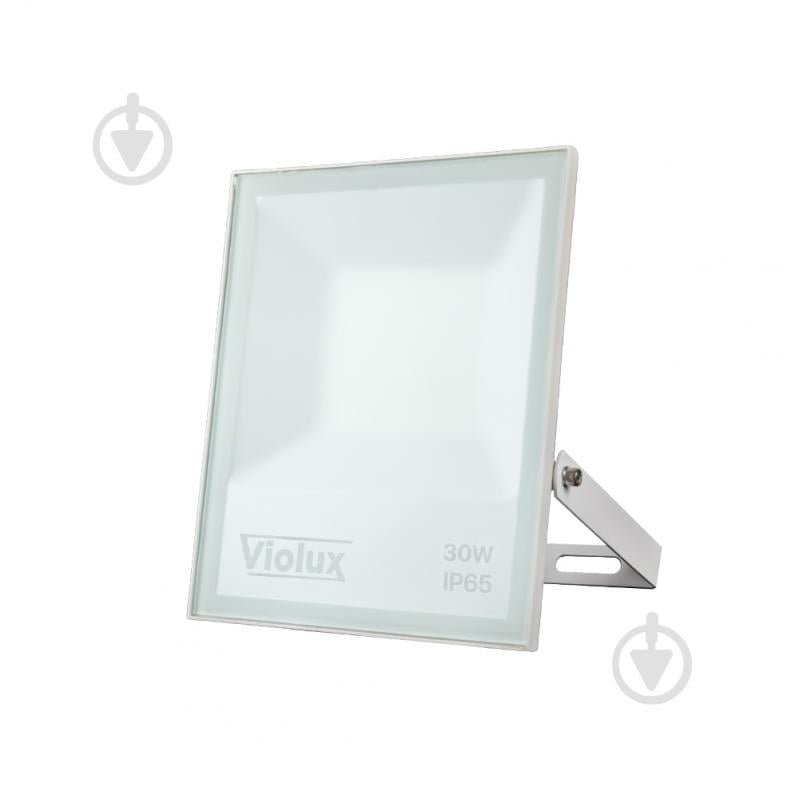 Прожектор светодиодный Violux LED NORD SMD 6000K 2550lm 30 Вт IP65 белый 400102 - фото 1 Прожектор светодиодный Violux LED NORD SMD 6000K 2550lm 30 Вт IP65 белый 400102 - фото 1