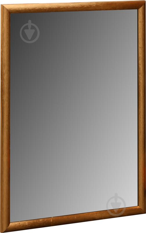 Зеркало ЭЗ-00275 57х77 см - фото 2 Зеркало ЭЗ-00275 57х77 см - фото 2