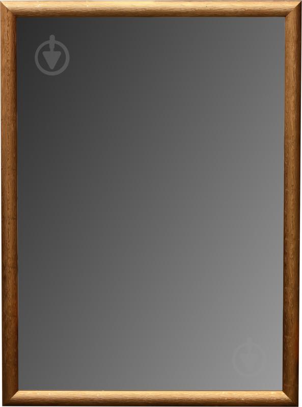 Зеркало ЭЗ-00275 57х77 см - фото 1 Зеркало ЭЗ-00275 57х77 см - фото 1