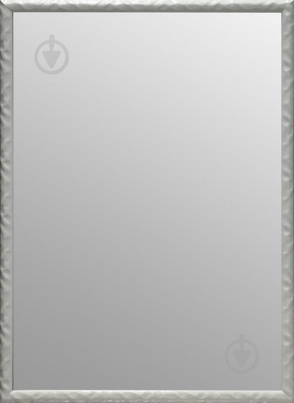 Зеркало ЭЗ-00289 54х74 см - фото 1