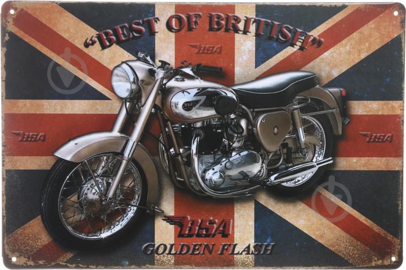 Табличка сувенирная Golden Flash 20х30 см - фото 1