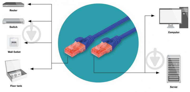 Патч-корд Digitus Cat 6 UTP AWG 26/7 CCA PVC 1 м синий - фото 2