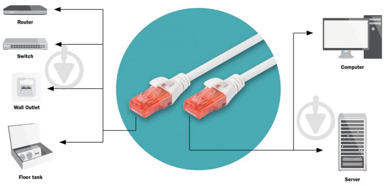 Патч-корд Digitus Cat 6 UTP AWG 26/7 Cu LSZH 2 м білий - фото 3