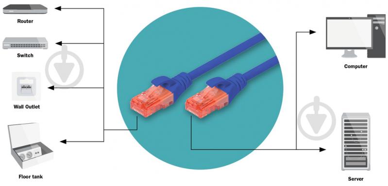 Патч-корд Digitus Cat 6 UTP AWG 26/7 Cu LSZH 2 м синій - фото 4