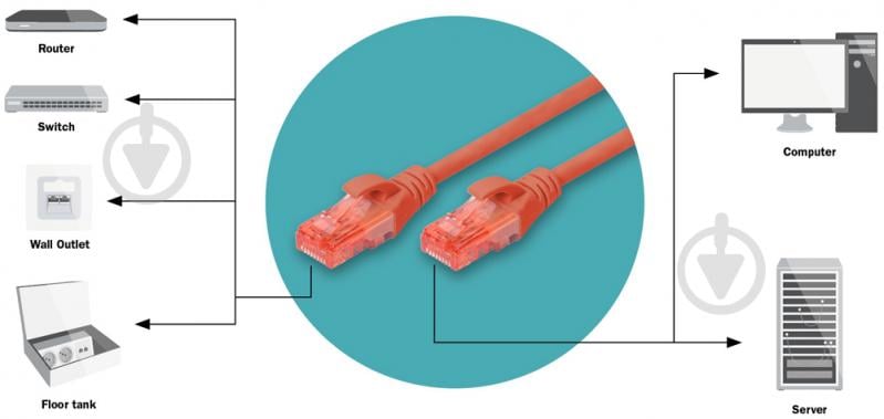 Патч-корд Digitus Cat 6 UTP AWG 26/7 Cu LSZH 5 м красный - фото 2