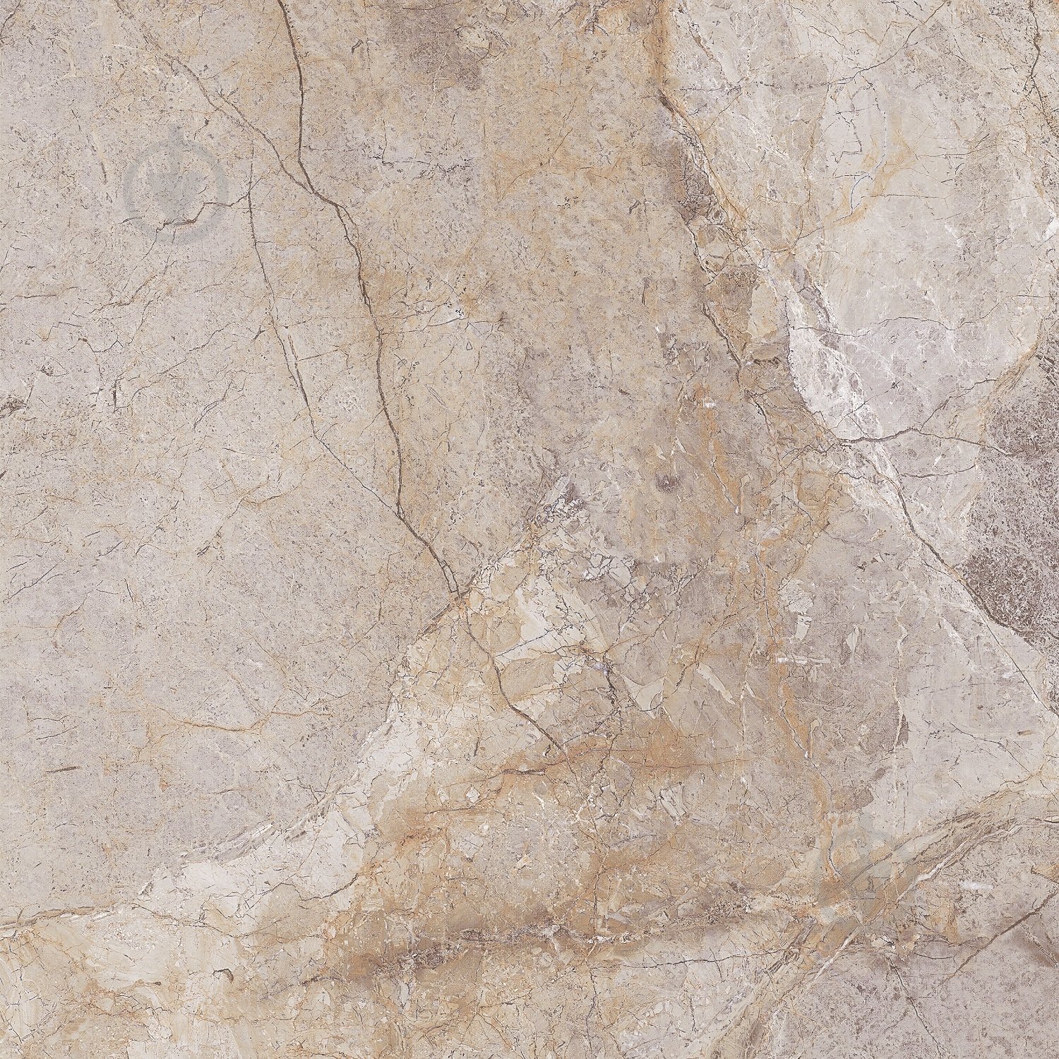 Плитка Allore Group Romano Beige F P NR Mat 47x47 см - фото 9