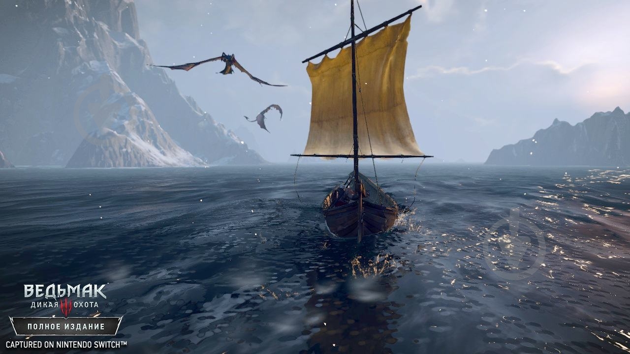 Игра NINTENDO The Witcher 3: Wild Hunt (Switch) - фото 11 Игра NINTENDO The Witcher 3: Wild Hunt (Switch) - фото 11