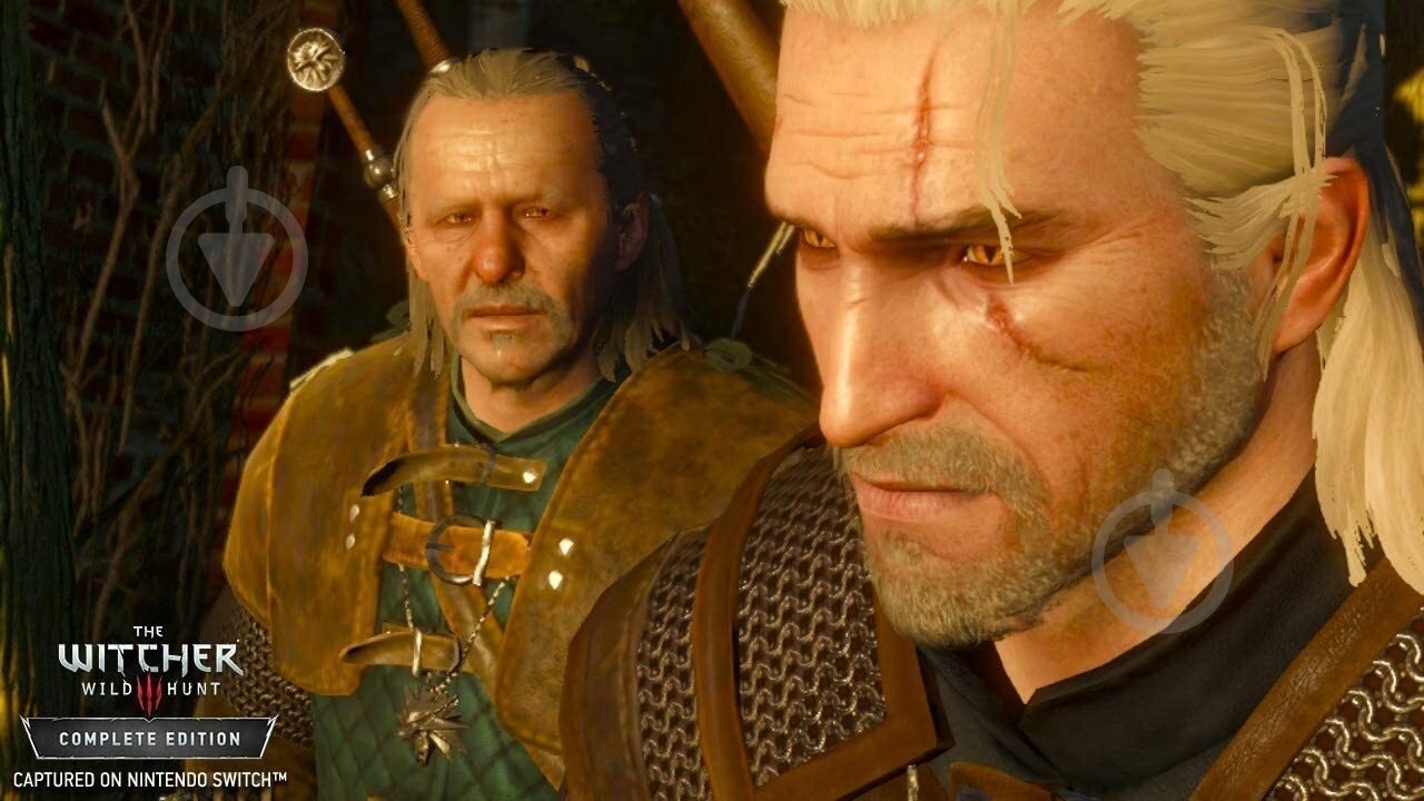 Игра NINTENDO The Witcher 3: Wild Hunt (Switch) - фото 7 Игра NINTENDO The Witcher 3: Wild Hunt (Switch) - фото 7