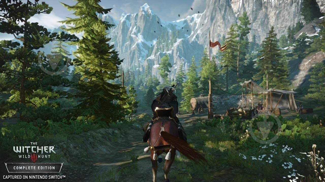 Игра NINTENDO The Witcher 3: Wild Hunt (Switch) - фото 10 Игра NINTENDO The Witcher 3: Wild Hunt (Switch) - фото 10
