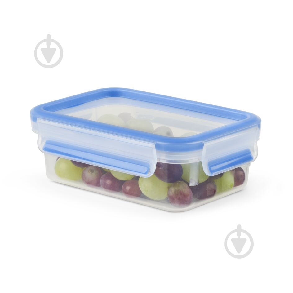 Набір контейнерів Tefal Master Seal 9 шт. N1031451 - фото 21 Набір контейнерів Tefal Master Seal 9 шт. N1031451 - фото 21