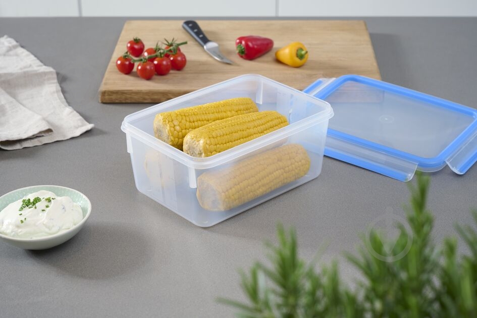 Набір контейнерів Tefal Master Seal 9 шт. N1031451 - фото 28 Набір контейнерів Tefal Master Seal 9 шт. N1031451 - фото 28