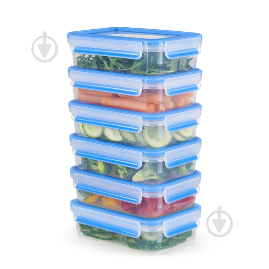 Набір контейнерів Tefal Master Seal 800 мл х 6 шт N1031951 - фото 2 Набір контейнерів Tefal Master Seal 800 мл х 6 шт N1031951 - фото 2