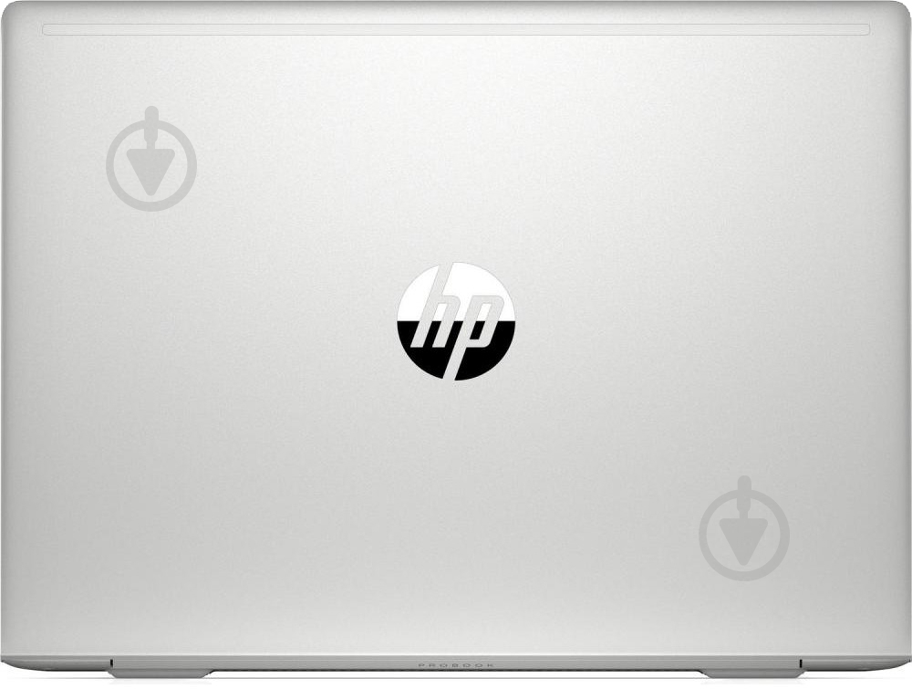 Ноутбук HP ProBook 445 G7 14 (2D277EA) silver - фото 7