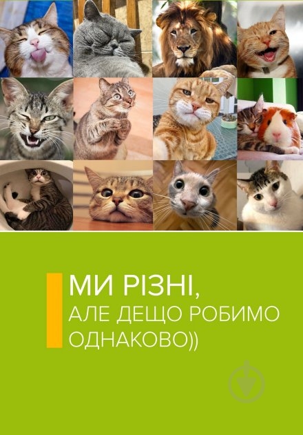 Наполнитель древесный ДЖО 3 кг - фото 5