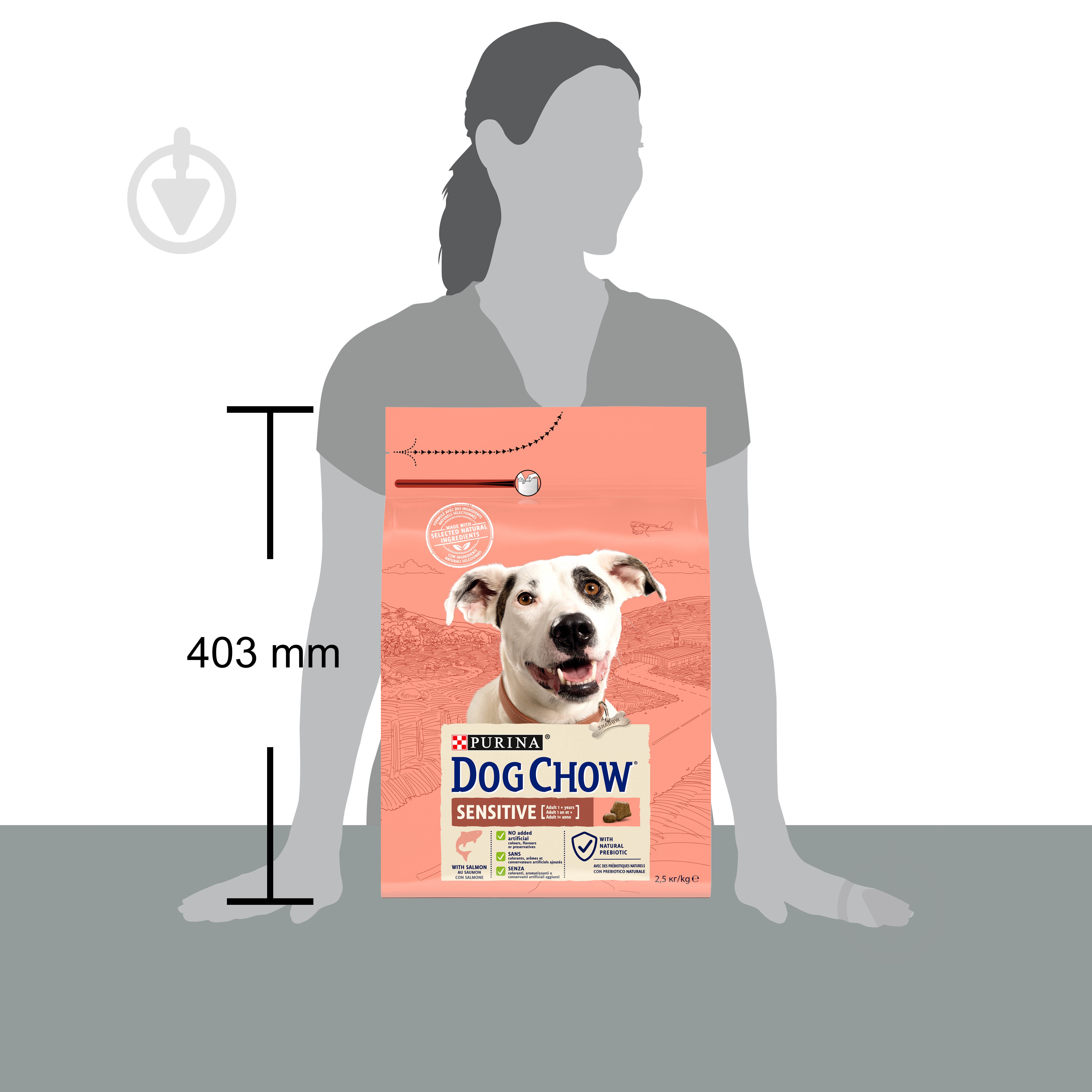 Корм сухий Dog Chow by Purina Sensitive Adult 1+ для дорослих собак схильних до алергії з лососем 2,5 кг - фото 4 Корм сухий Dog Chow by Purina Sensitive Adult 1+ для дорослих собак схильних до алергії з лососем 2,5 кг - фото 4
