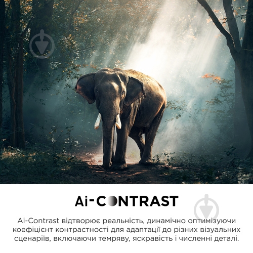 Телевизор TCL 75C745 - фото 8