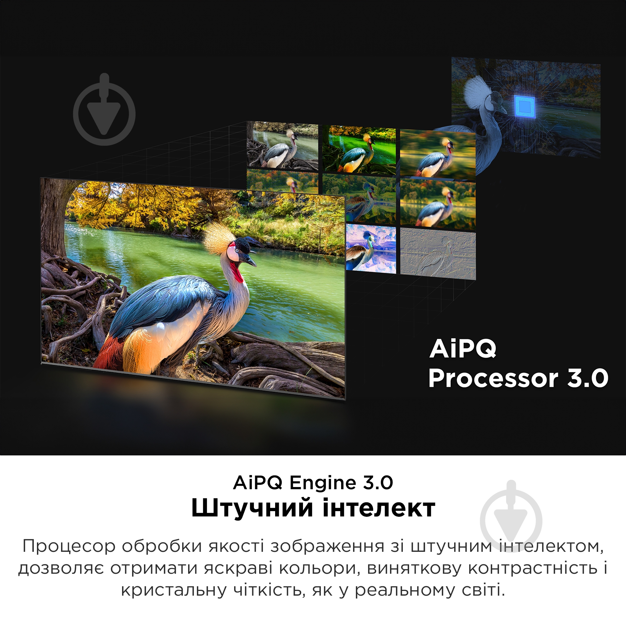 Телевизор TCL 75C745 - фото 18