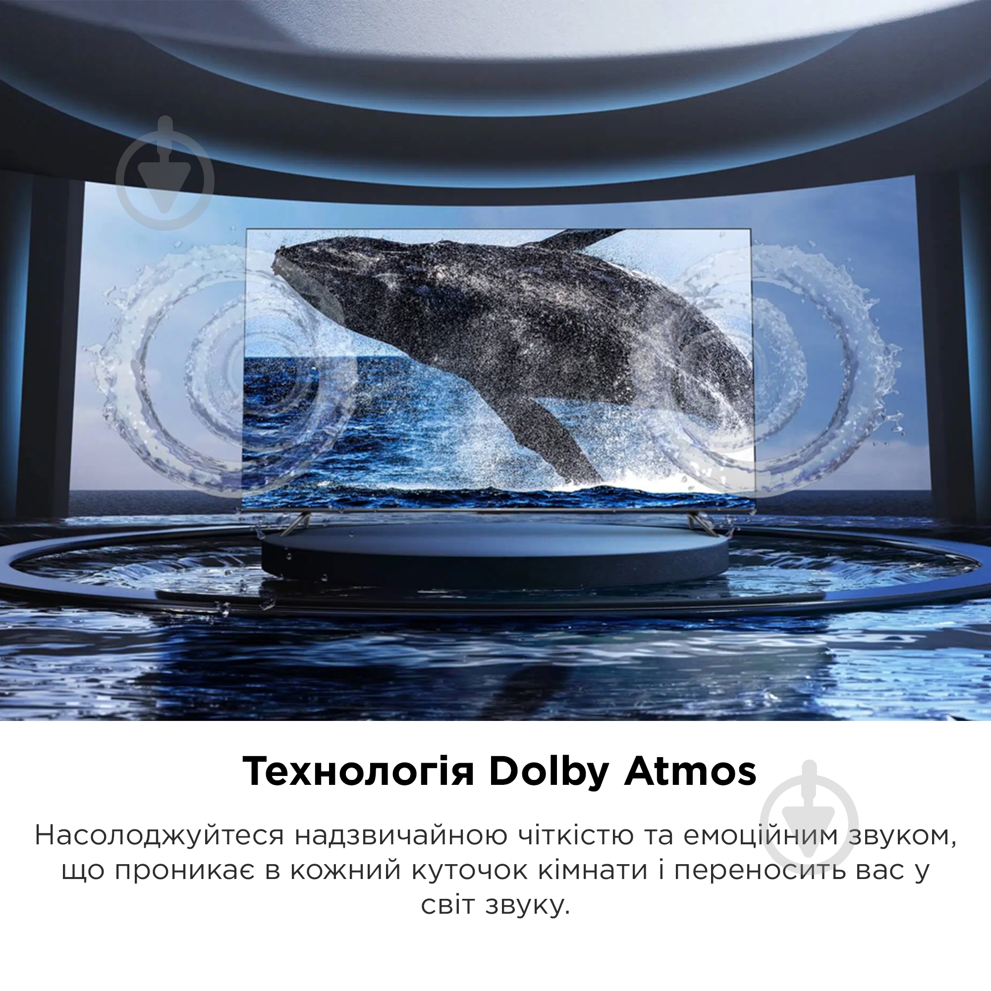 Телевизор TCL 65P735 - фото 14