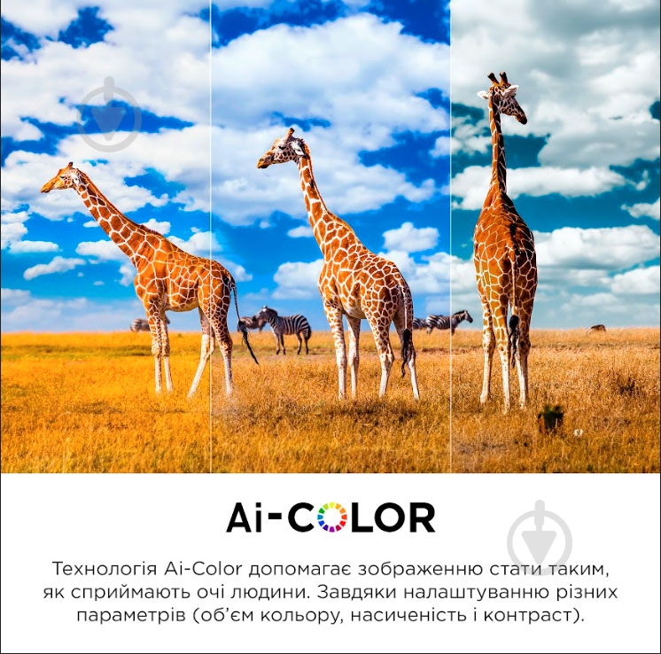 Телевізор TCL 55C645 - фото 21